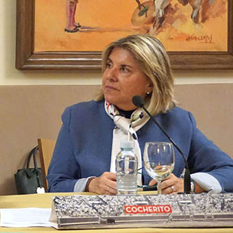 'Patrimonio taurino en peligro de olvido' en Bilbao